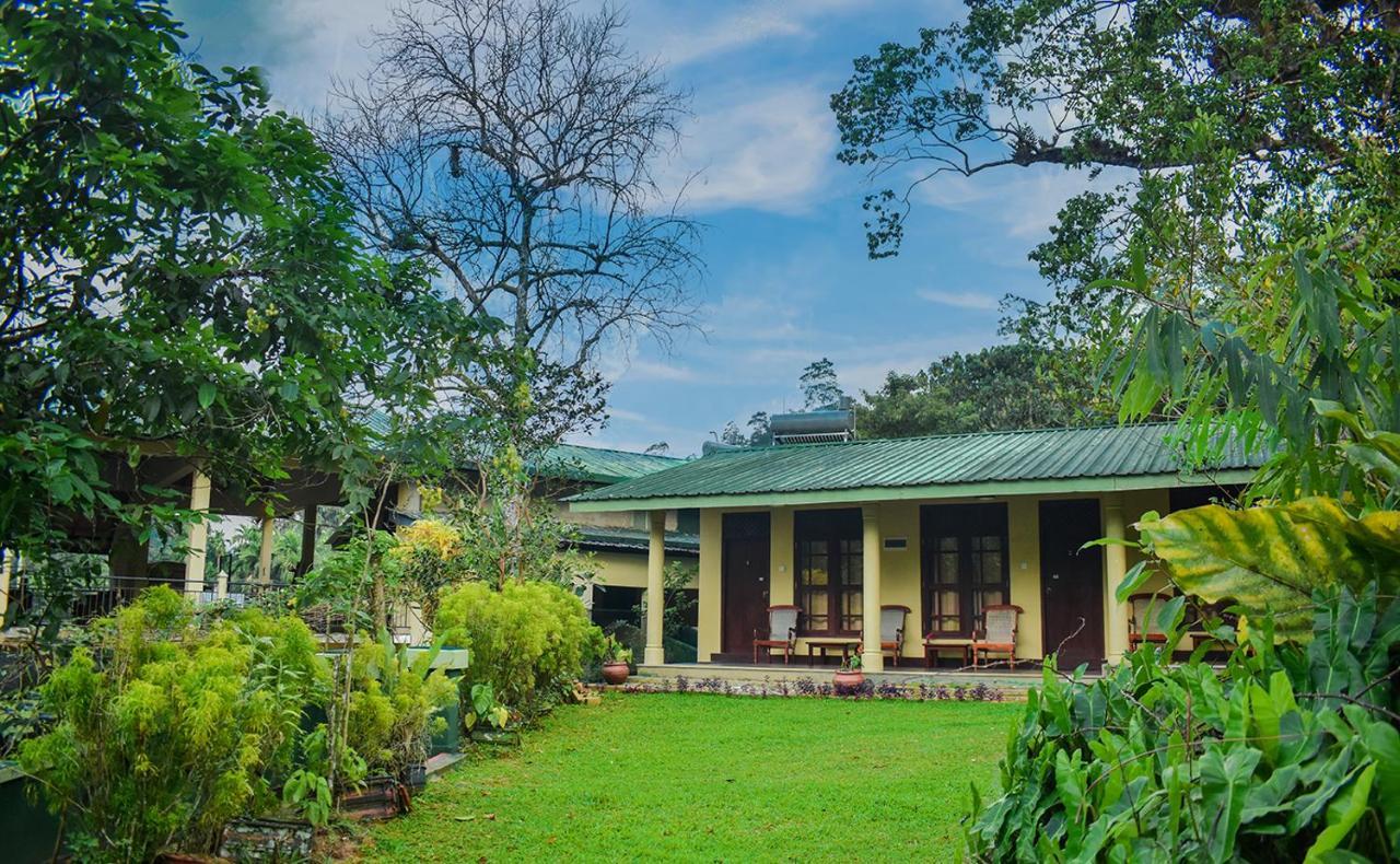 Blue Magpie Lodge Sinharaja Kudawe Exterior photo